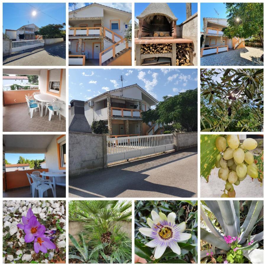 Lipa Mare Vir Apartment Bagian luar foto